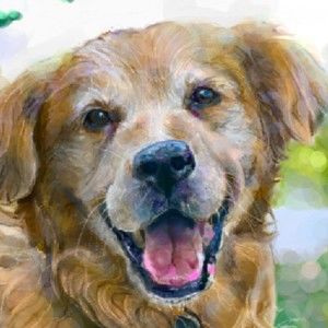 Meet your Posher, Pete